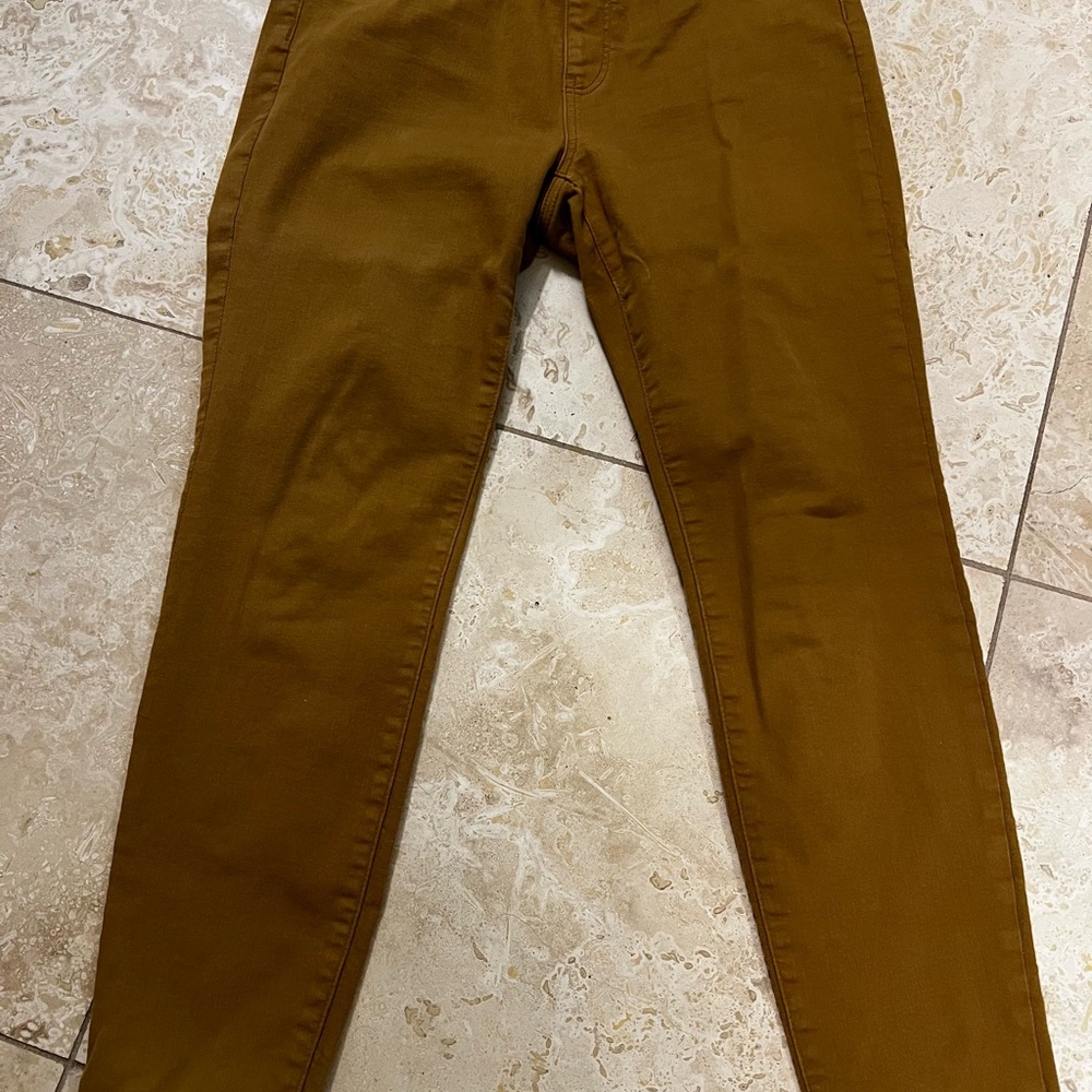 Camel Brown Jegging Pants